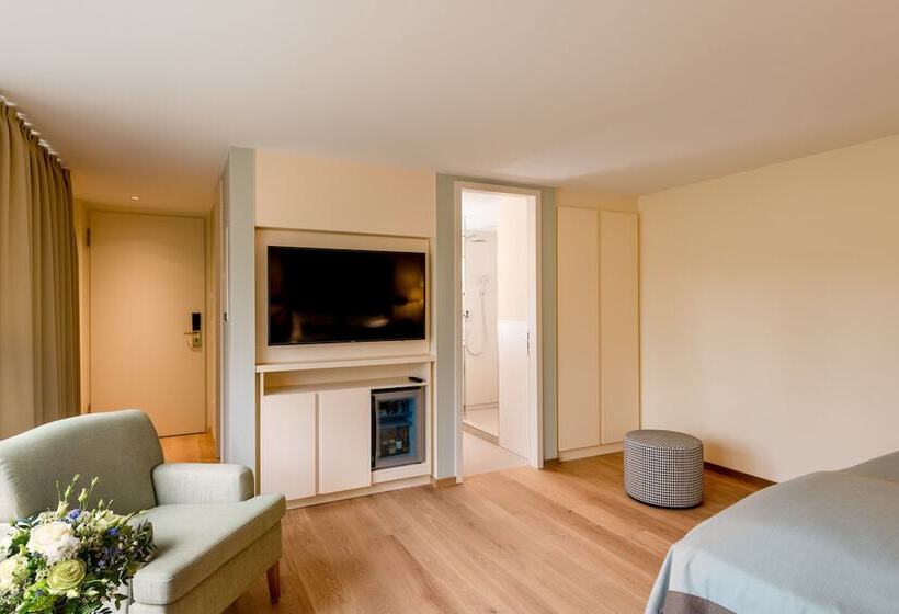 اتاق استاندارد, Parkhotel Rothof
