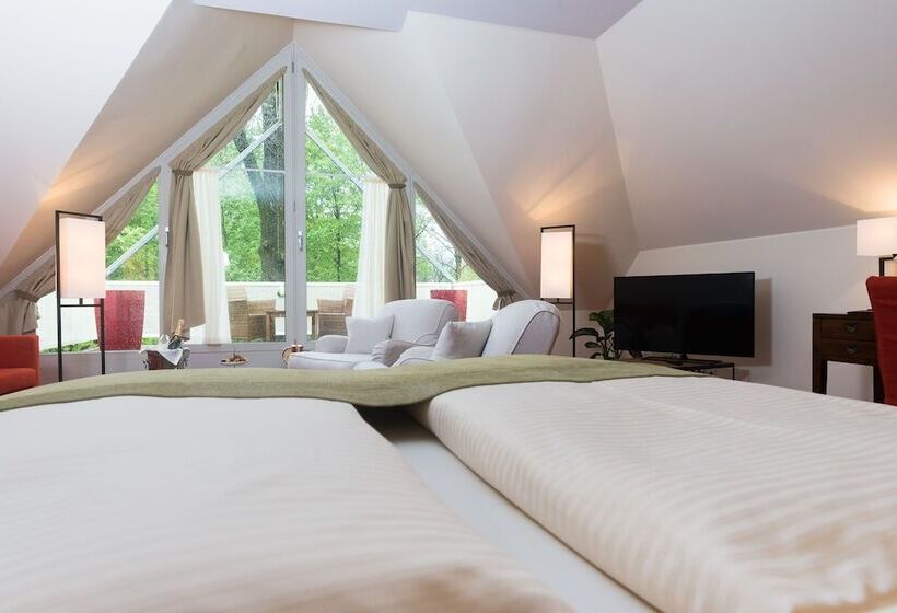 اتاق استاندارد, Parkhotel Rothof