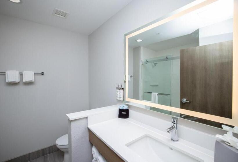 标准间, Holiday Inn Express & Suites Tampa Stadium   Airport Area, An Ihg