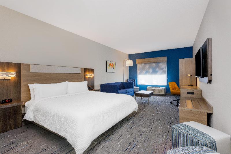 带大床的套房, Holiday Inn Express & Suites Tampa Stadium   Airport Area, An Ihg
