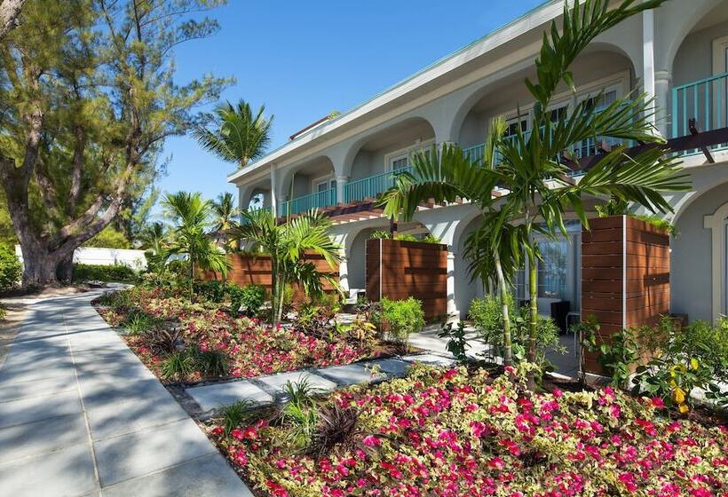 اتاق استاندارد با 2 تخت دوبل, The Westin Grand Cayman Seven Mile Beach Resort & Spa