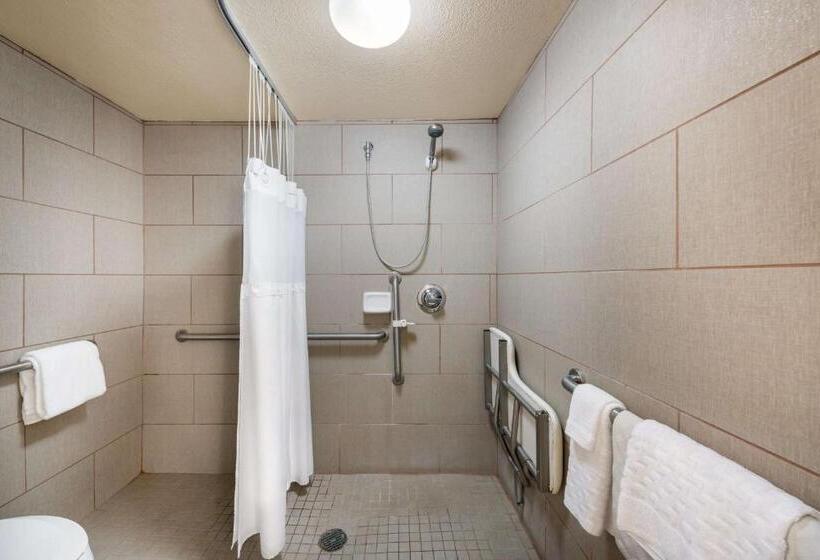 Номер Стандарт Кровать Кинг Адаптированный для Инвалидов, Best Western Danville Sycamore Inn