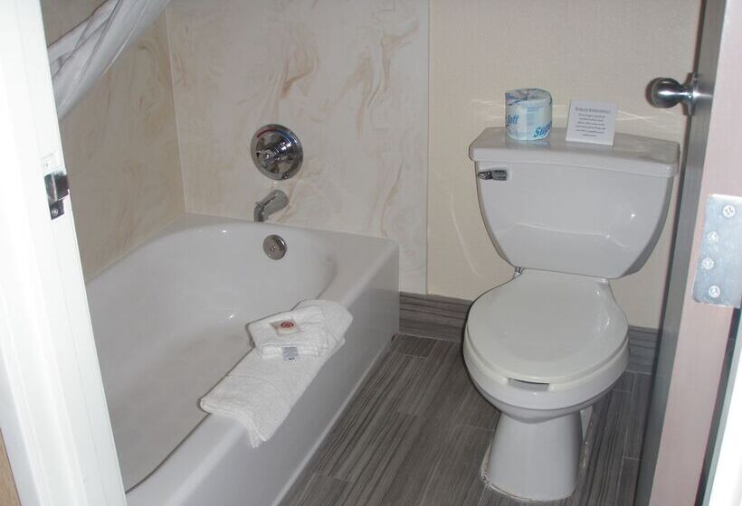 سوییت, Comfort Inn Flagstaff Lucky Lane I 40