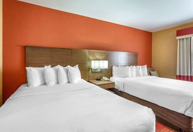 سوییت, Comfort Inn Flagstaff Lucky Lane I 40