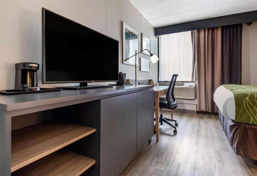 Номер Стандарт, Comfort Inn & Suites