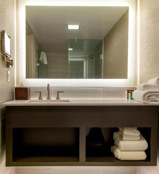 Mozgáskorlátozott Standard Szoba King Size Bed, Crowne Plaza Executive Center Baton Rouge, An Ihg