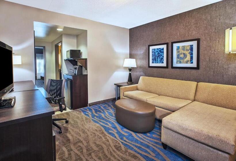 سوئیت با تخت بزرگ, Holiday Inn Express & Suites Dayton South   I 675, An Ihg