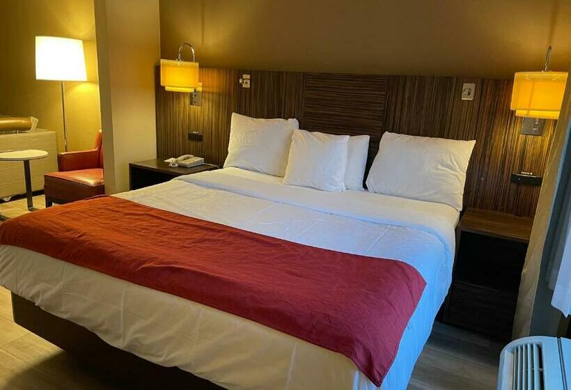 Люкс Deluxe Кровать Кинг, Ramada By Wyndham Harrisburg/hershey Area