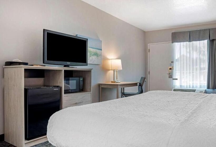 חדר סטנדרט עם מיטת קינג, Best Western Navarre Waterfront