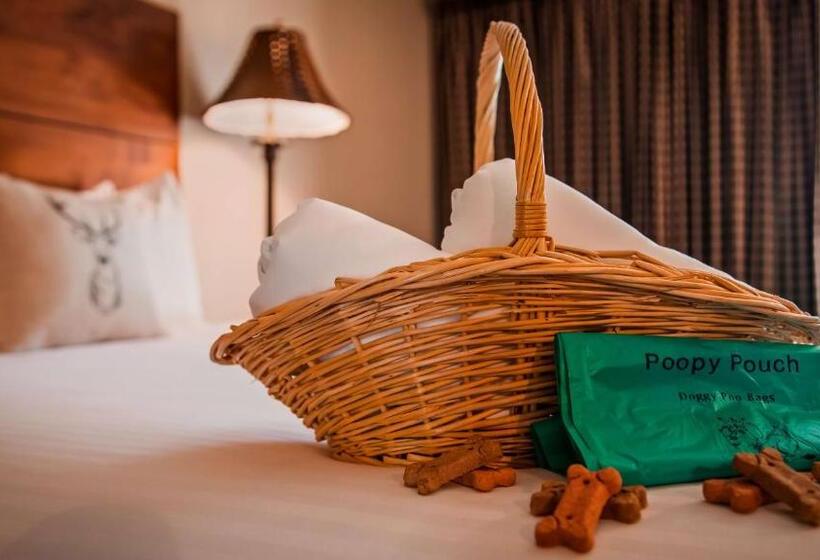 Люкс Кровать Кинг, Best Western Ponderosa Lodge