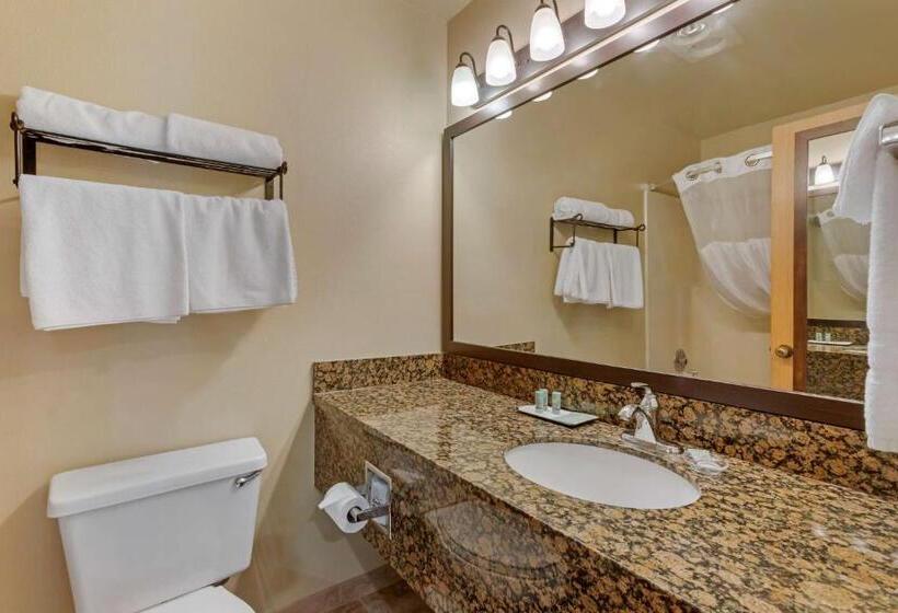 Номер Стандарт Адаптированный для Инвалидов, Best Western Ponderosa Lodge