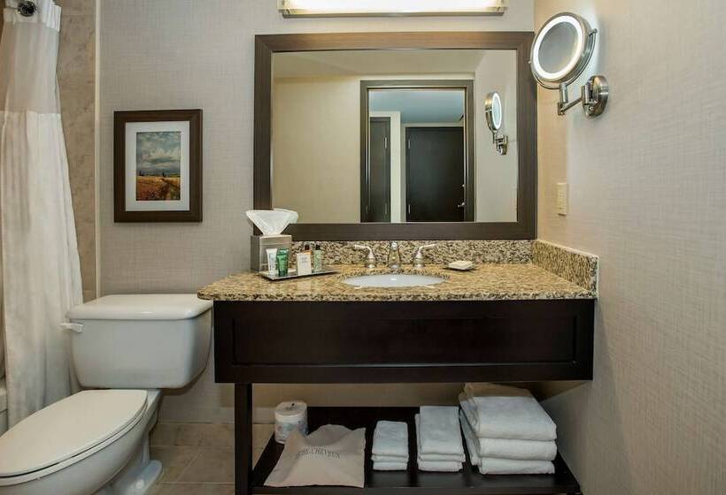 스탠다드 룸 더블 침대 2개, Hilton Winnipeg Airport Suites