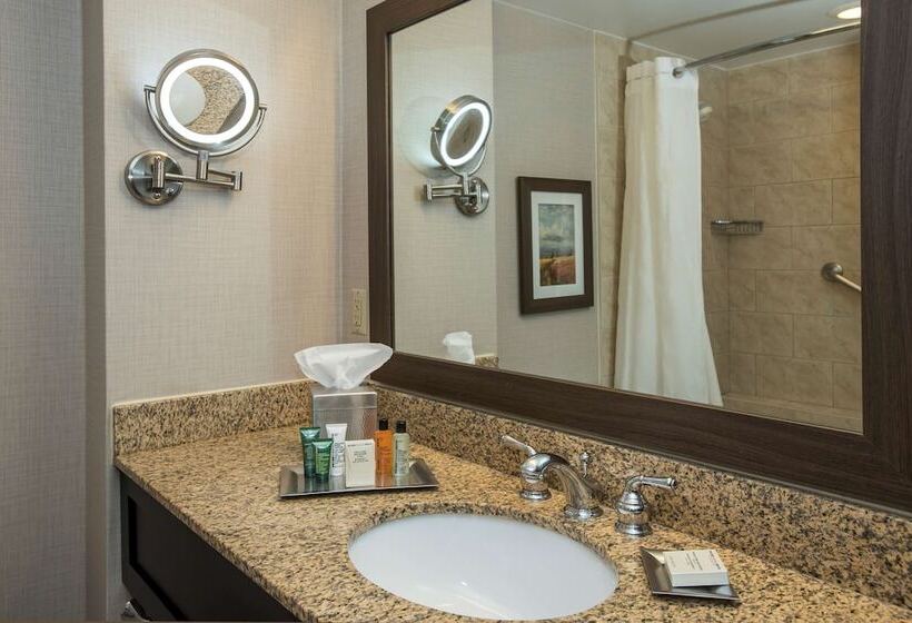 스탠다드 룸 킹사이즈 침대, Hilton Winnipeg Airport Suites