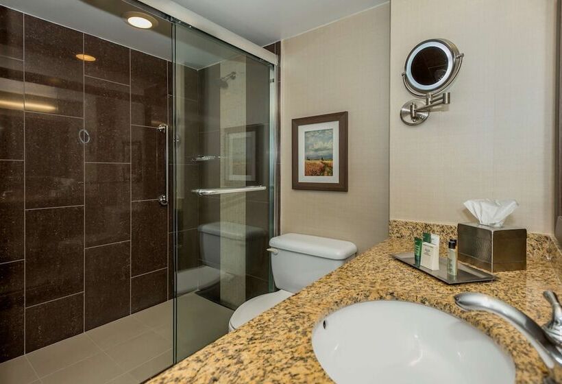 스위트, Hilton Winnipeg Airport Suites