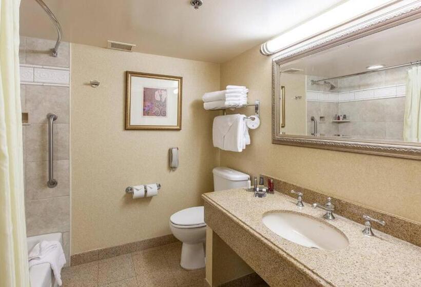 Номер Стандарт, Sacramento Marriott Rancho Cordova