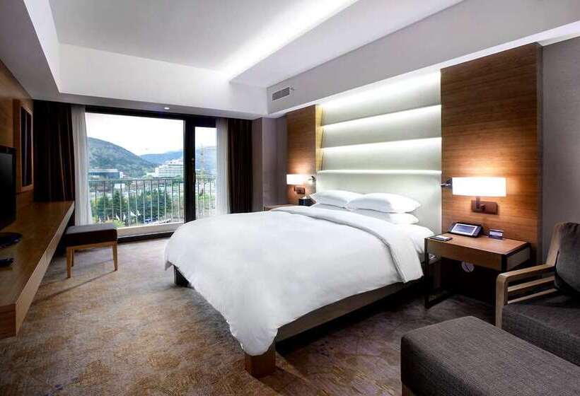 سوئیت اجرایی با تخت کینگ, Hilton Gyeongju