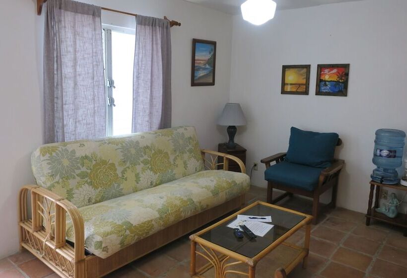 آپارتمان کلاسیک 1 خوابه, Seven Seas Resort Adults Only