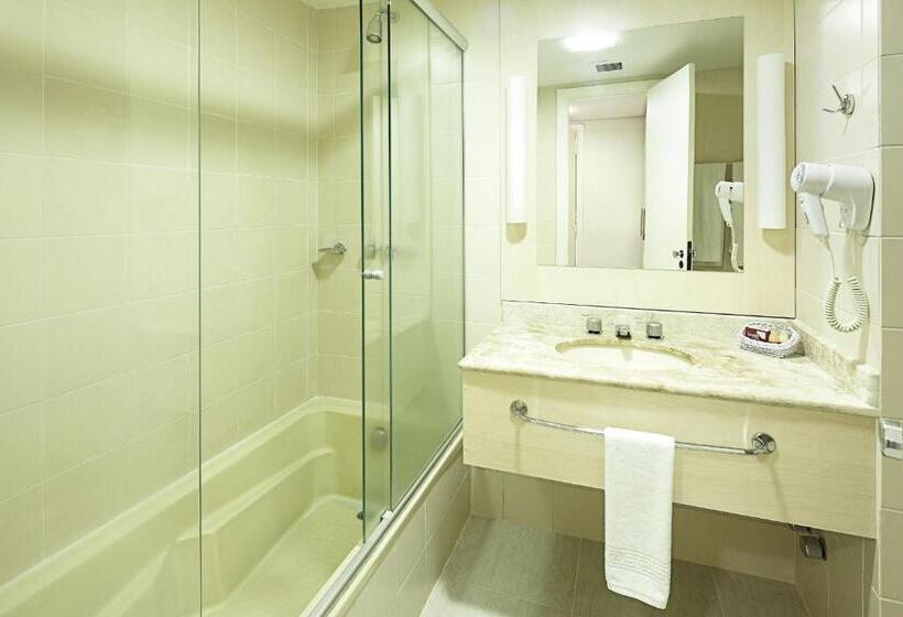 Superior Suite, Swan Novo Hamburgo