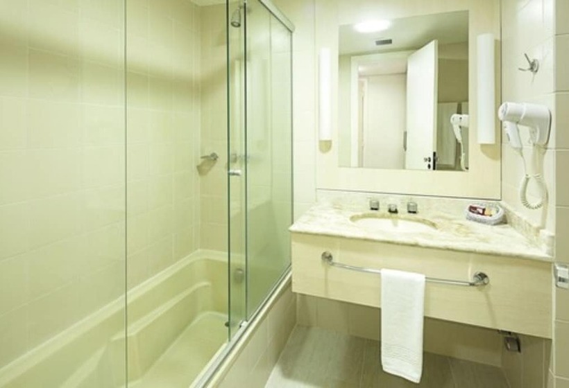 Suite, Swan Novo Hamburgo