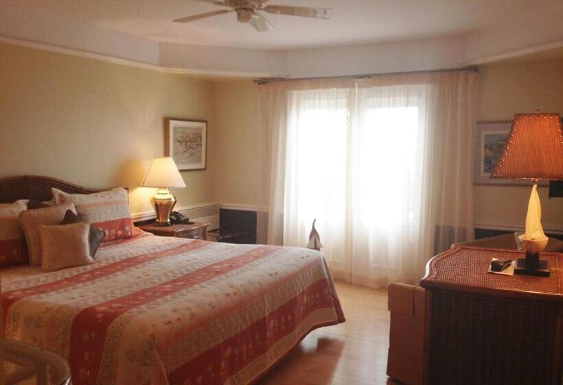 スーペリアールーム, Goéliche Hotel Et Appartement