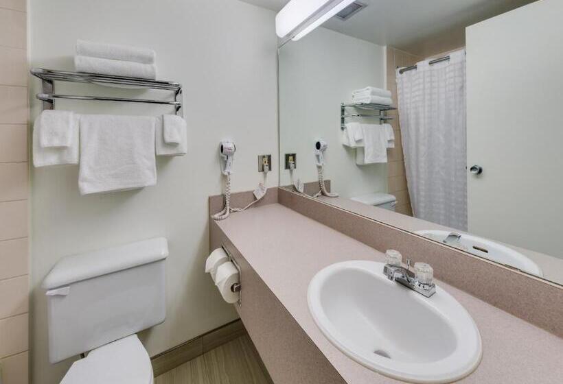 Номер Стандарт, Heritage Inn Hotel & Convention Centre   Brooks