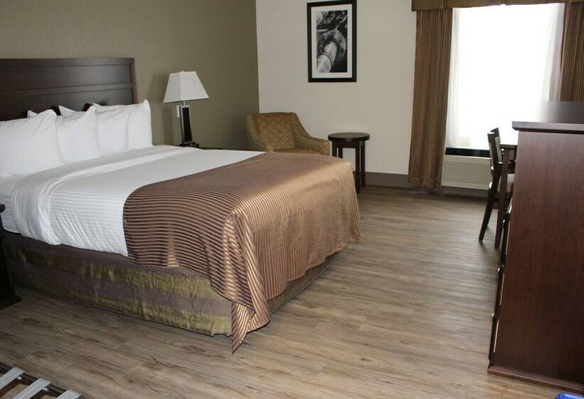 スイート, Best Western High Road Inn