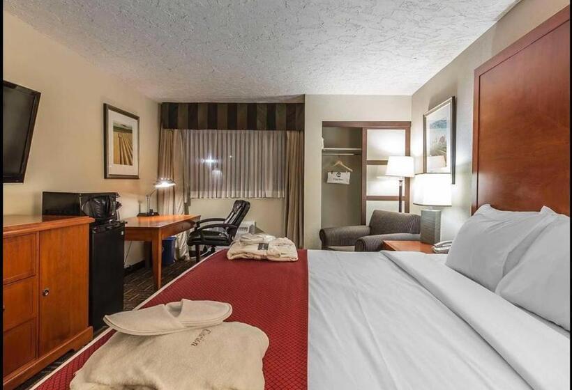 اتاق استاندارد با تخت بزرگ, Wyndham Garden Medicine Hat Conference Center
