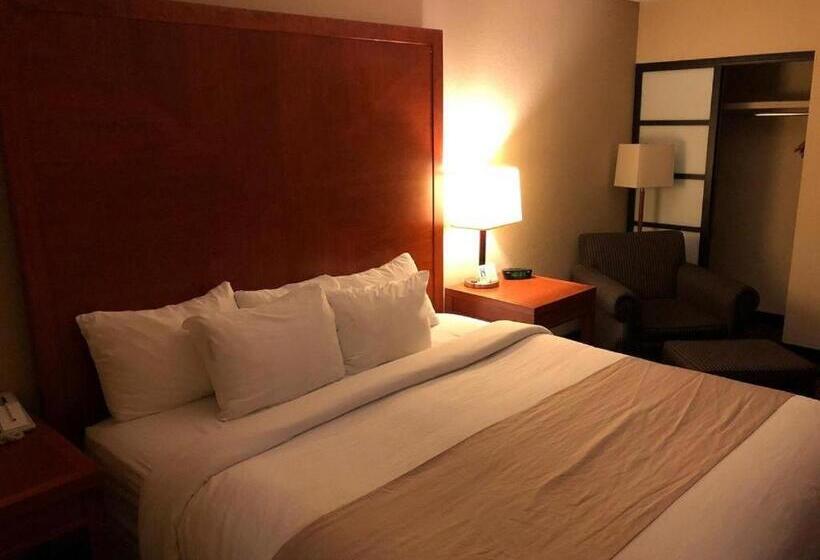 اتاق استاندارد با تخت بزرگ, Wyndham Garden Medicine Hat Conference Center