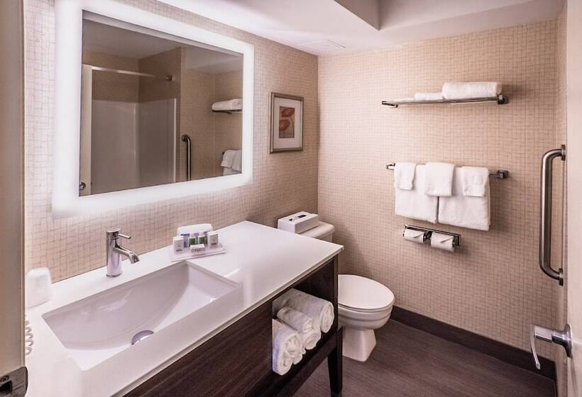 스탠다드 전망 룸, Holiday Inn Osoyoos