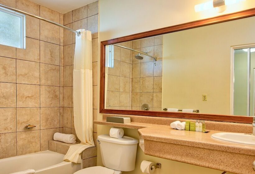اتاق استاندارد با 2 تخت دوبل, Fiesta Resort Central Pacific   All Inclusive