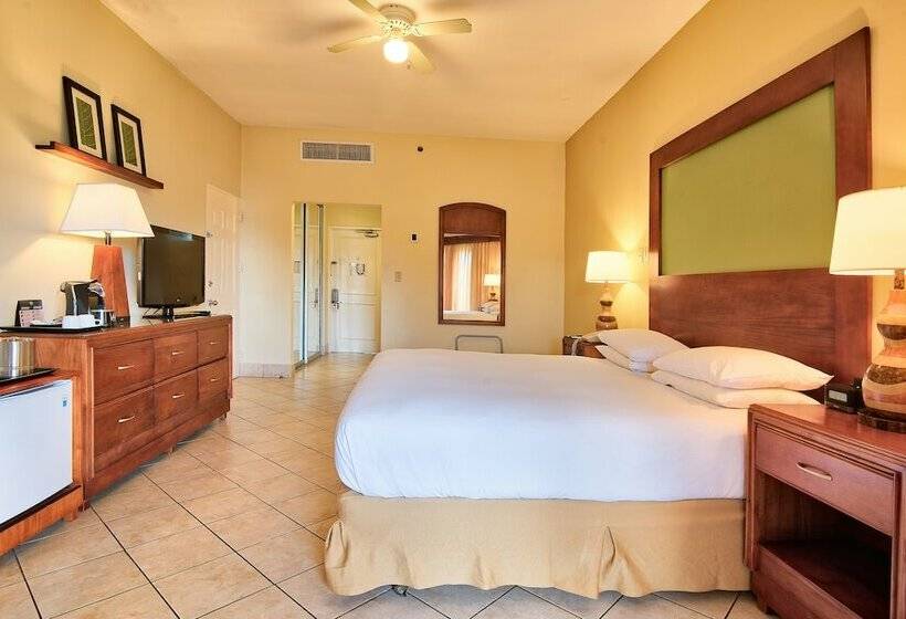 اتاق استاندارد با تخت بزرگ, Fiesta Resort Central Pacific   All Inclusive