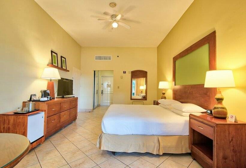 اتاق استاندارد با تخت بزرگ, Fiesta Resort Central Pacific   All Inclusive