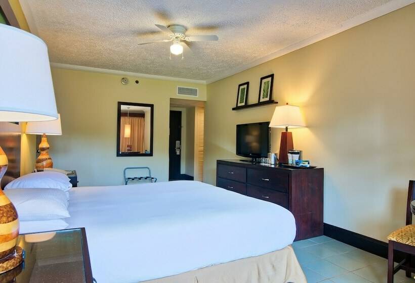 اتاق استاندارد با تخت بزرگ, Fiesta Resort Central Pacific   All Inclusive