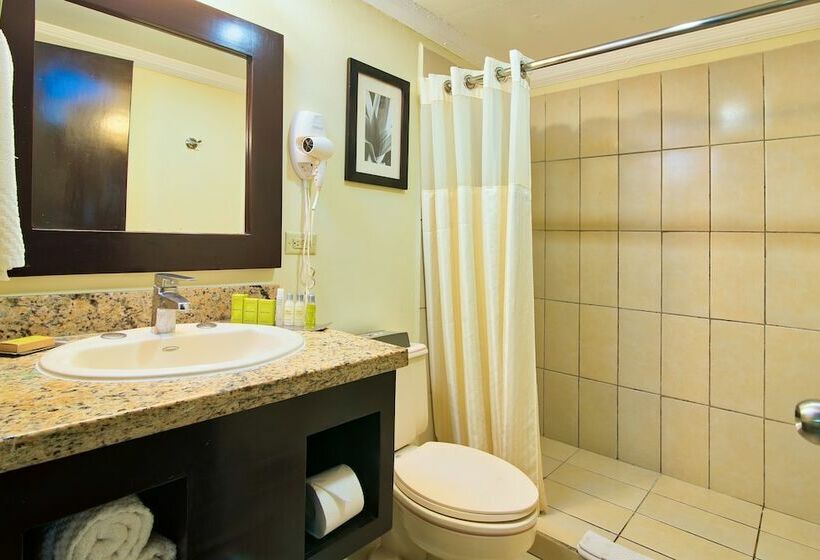 اتاق استاندارد با تخت بزرگ, Fiesta Resort Central Pacific   All Inclusive