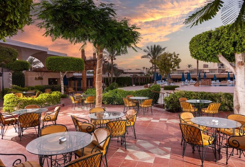 اتاق استاندارد, Pyramids Park Resort Cairo