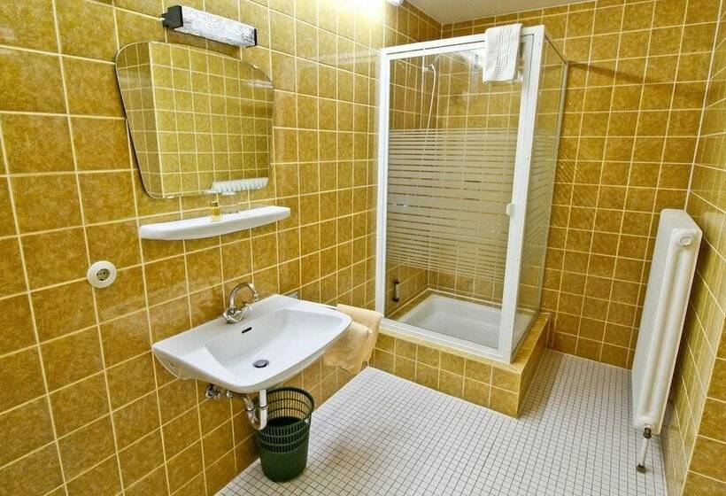 舒适型单人间, Waldhotel Stein