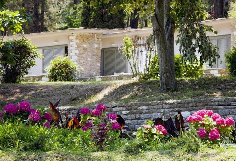 수피리어 룸, Makryammos Bungalows