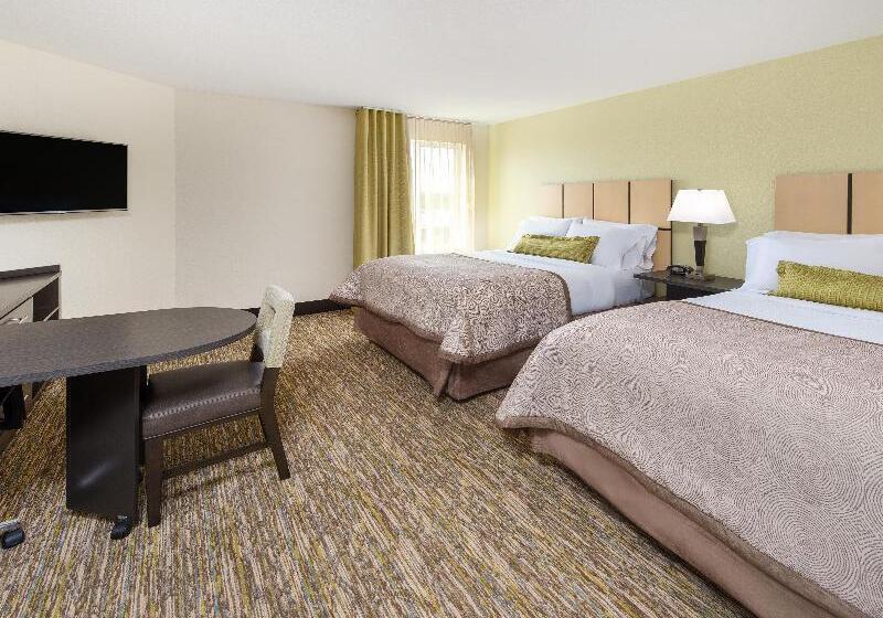 اتاق استاندارد با چشم‌انداز شهر, Doubletree By Hilton Rotterdam Centre