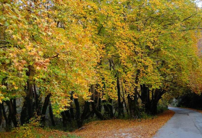 ویلای 1 خوابه, Artsistas Houses