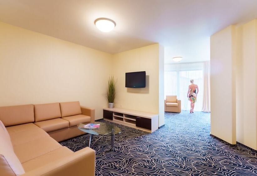 آپارتمان 1 خوابه, Victoria Hotel Vyborg