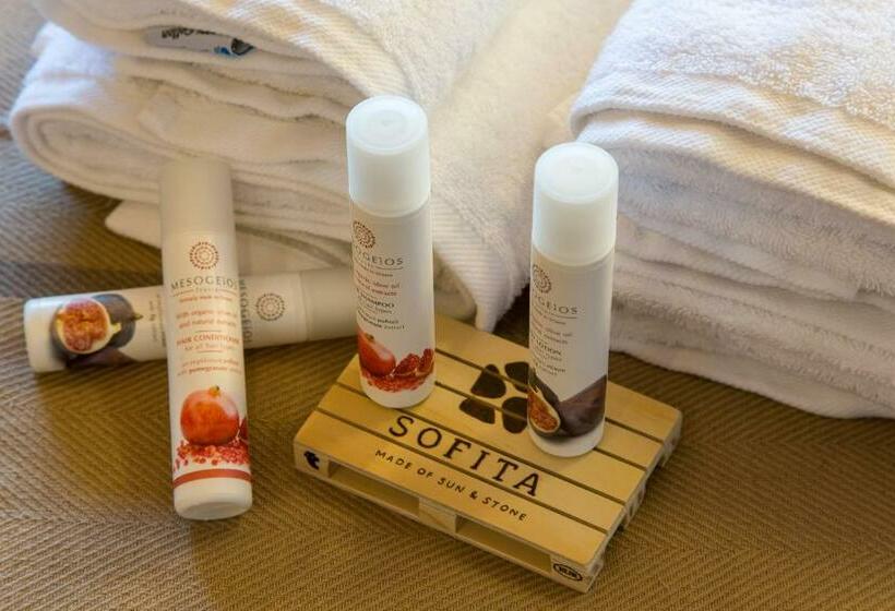 آپارتمان 1 خوابه با بالکن, Sofita