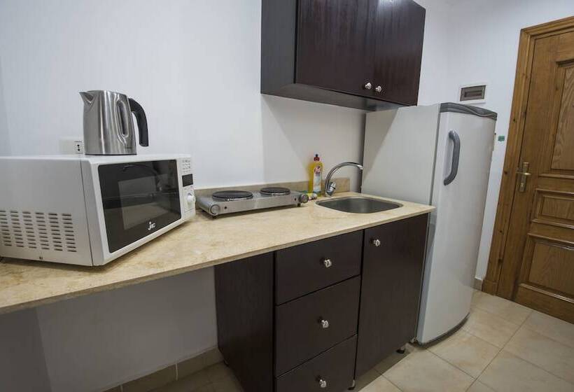استودیوی استاندارد با تخت دوبل, Lilly Apartments