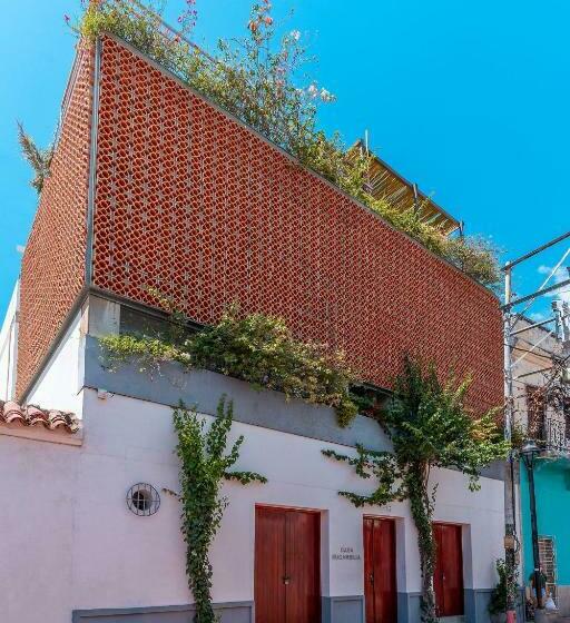 آپارتمان 1 خوابه, Casa Bugambilia
