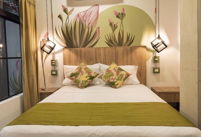 스탠다드 룸, Los Patios Hostel