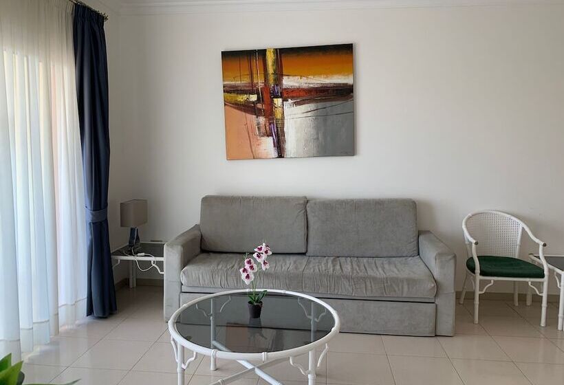 带1个卧室的豪华公寓, Michelangelo Resort Apartments