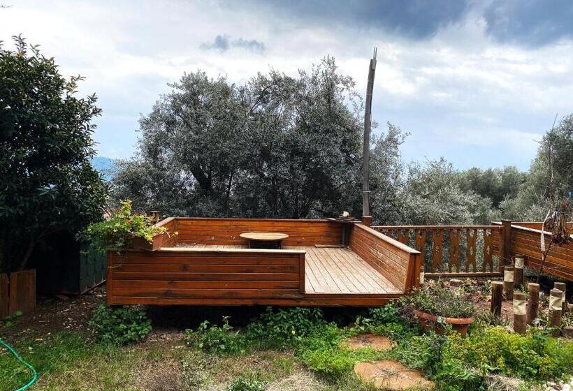 اتاق استاندارد, Kabak Armes