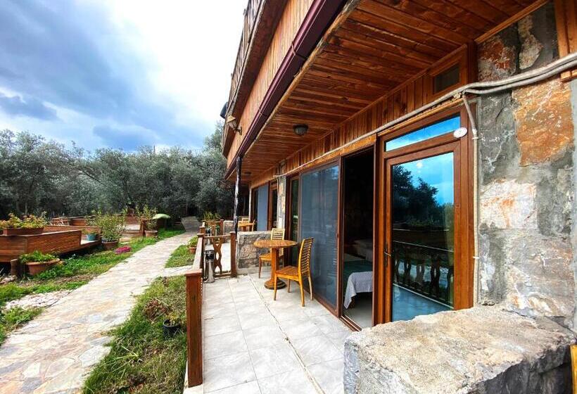 اتاق استاندارد, Kabak Armes