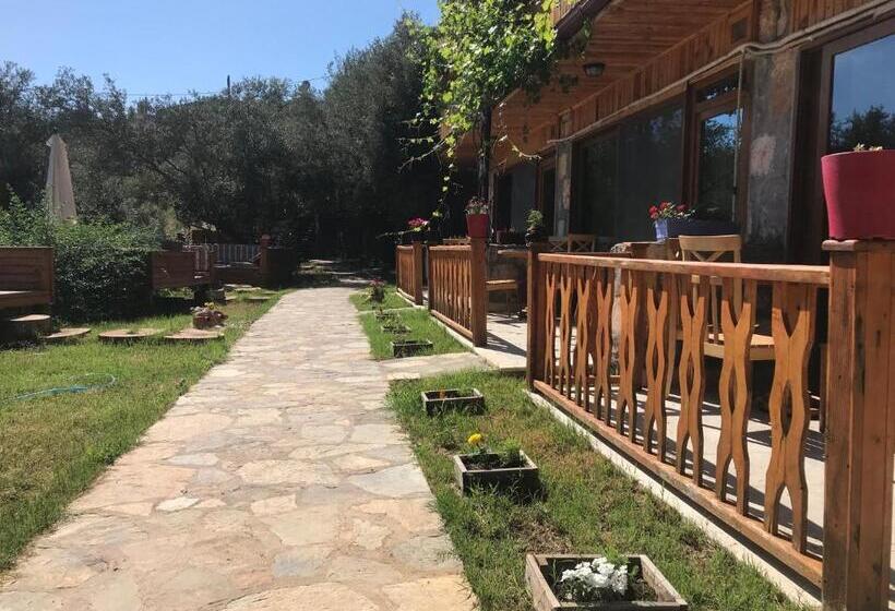 اتاق استاندارد, Kabak Armes