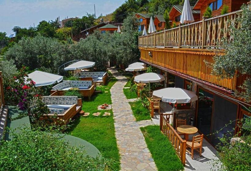 اتاق استاندارد, Kabak Armes