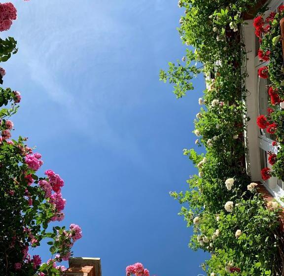スタンダードルーム, Georgiana S Guesthouse